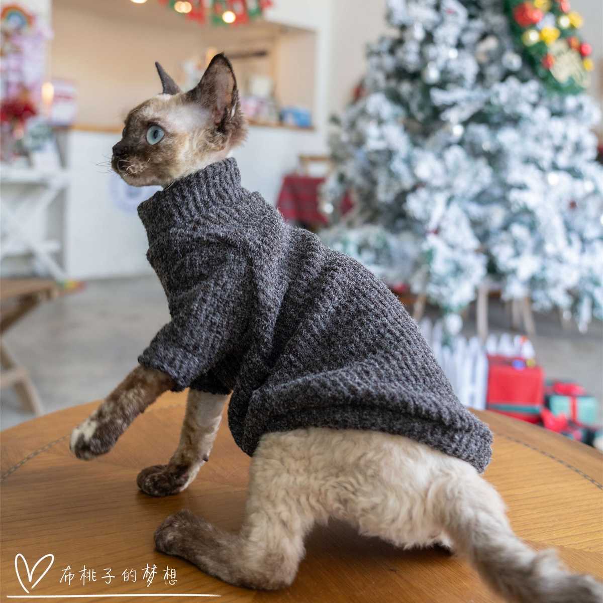 スフィンクスにおすすめ猫の服【5選】