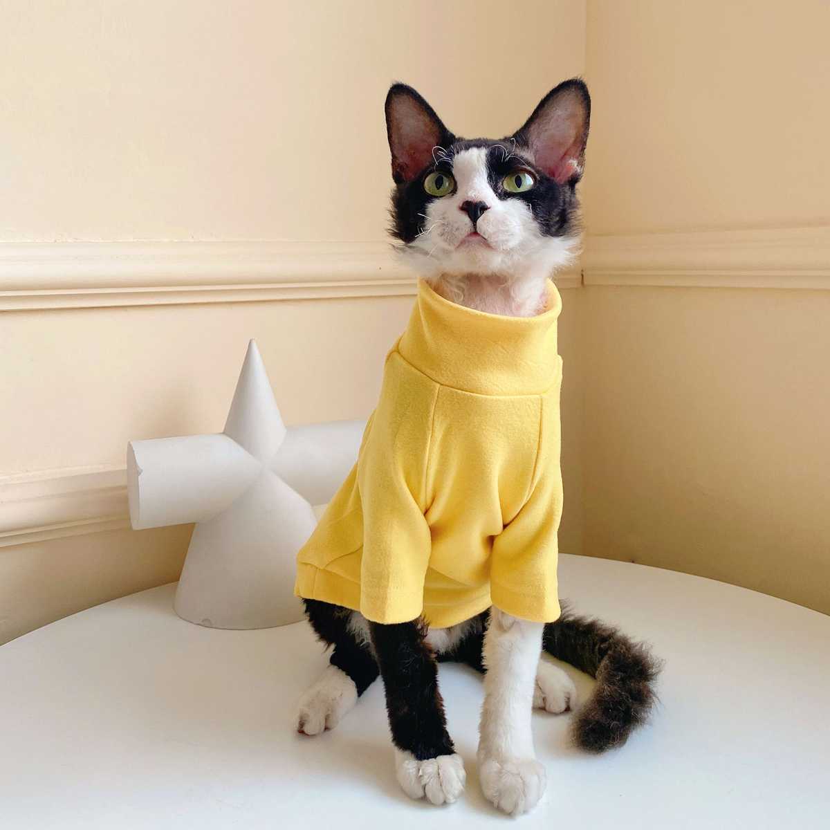術後の安心をサポート！猫術後服おすすめ5選