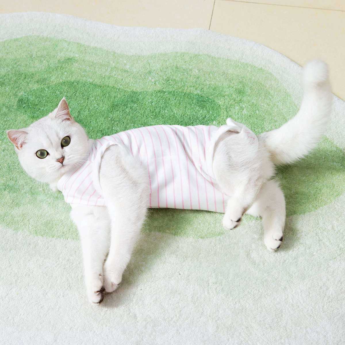 【メスオス兼用】も猫ちゃんが安心できる、猫の術後服おすすめ10選