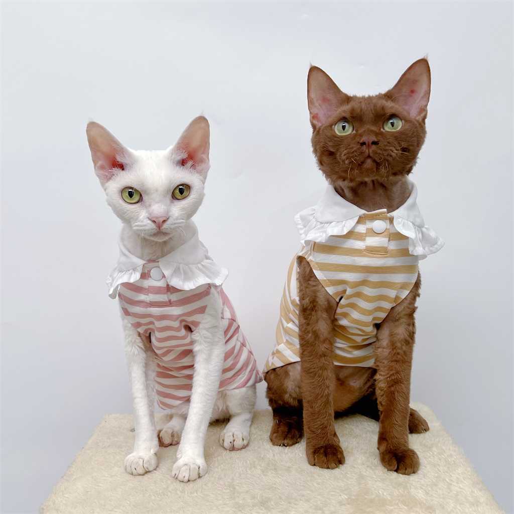 愛猫が主役に！インスタ映えする模様付きの猫服おすすめ5選