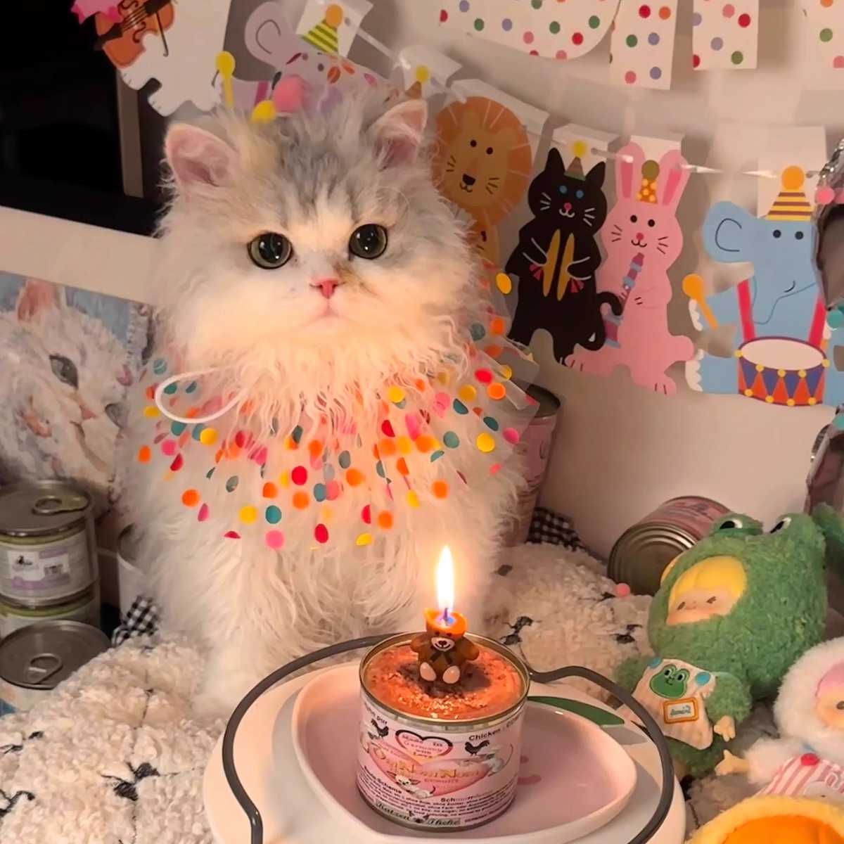 猫を快適にする服の着せる方法とおすすめアイテム5選