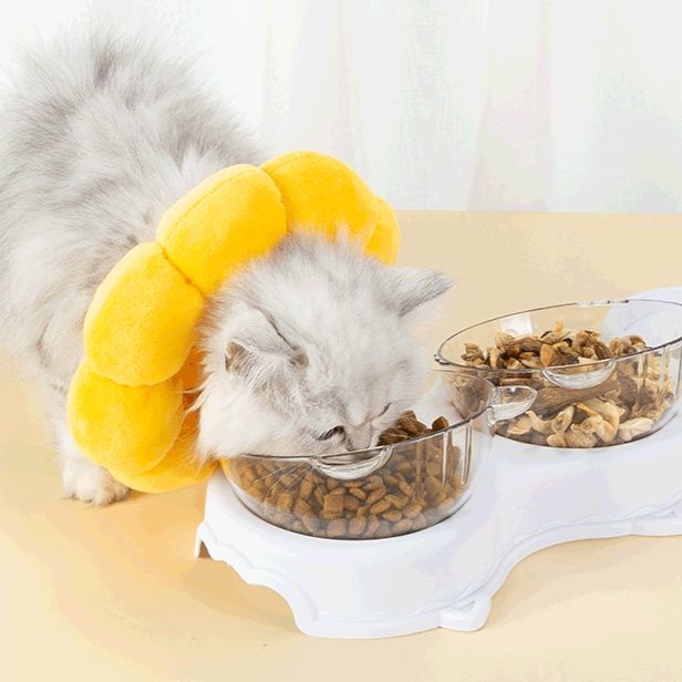 猫 ふわふわ花形エリザベスカラー