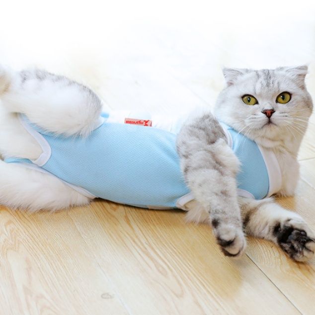 猫ちゃん専用手術後保護服