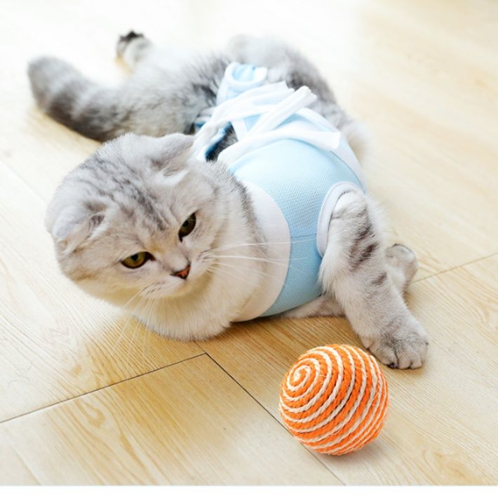 猫ちゃん専用手術後保護服