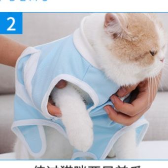 猫ちゃん専用手術後保護服