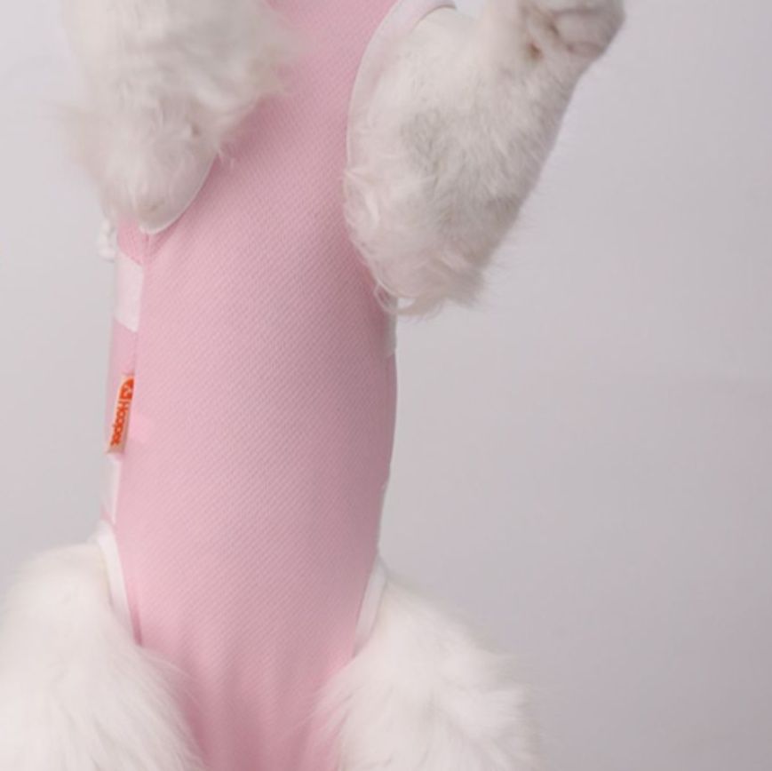  愛猫のための可愛い背中開き紐結び術後服