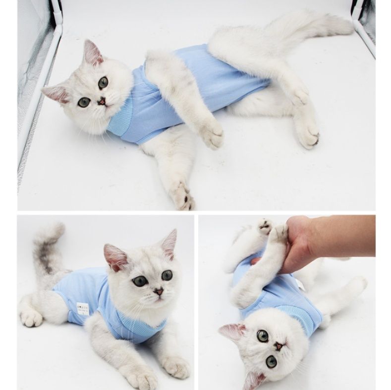 猫装通気性術後保護ウェア