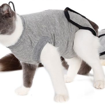 愛猫の回復をサポートする包帯型術後専用ケア服
