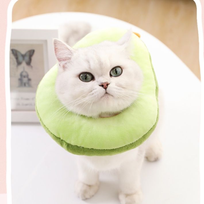 猫　食べ物風ふわふわエリザベスカラー