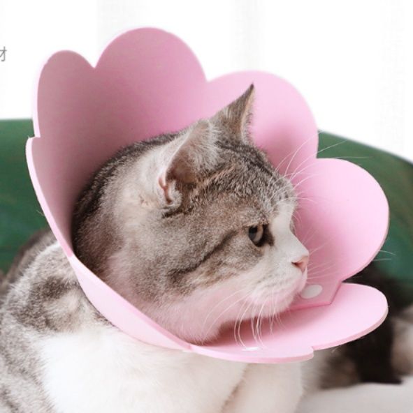 猫服 花びら型可愛い猫用エリザベスカラー