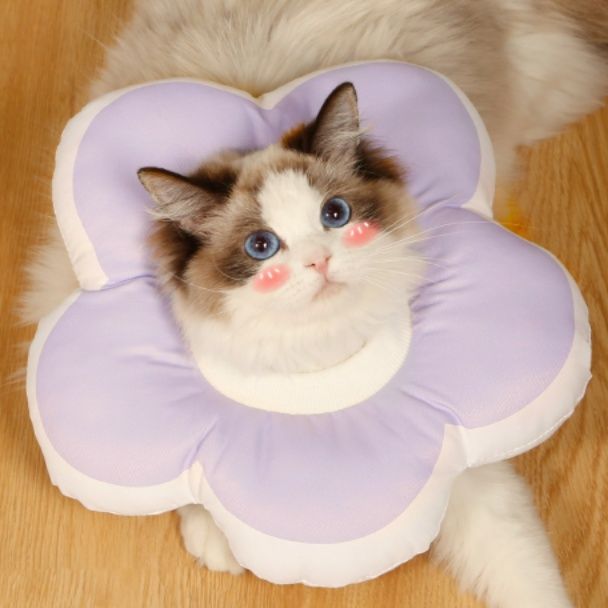 猫 花びら型やわらかエリザベスカラー