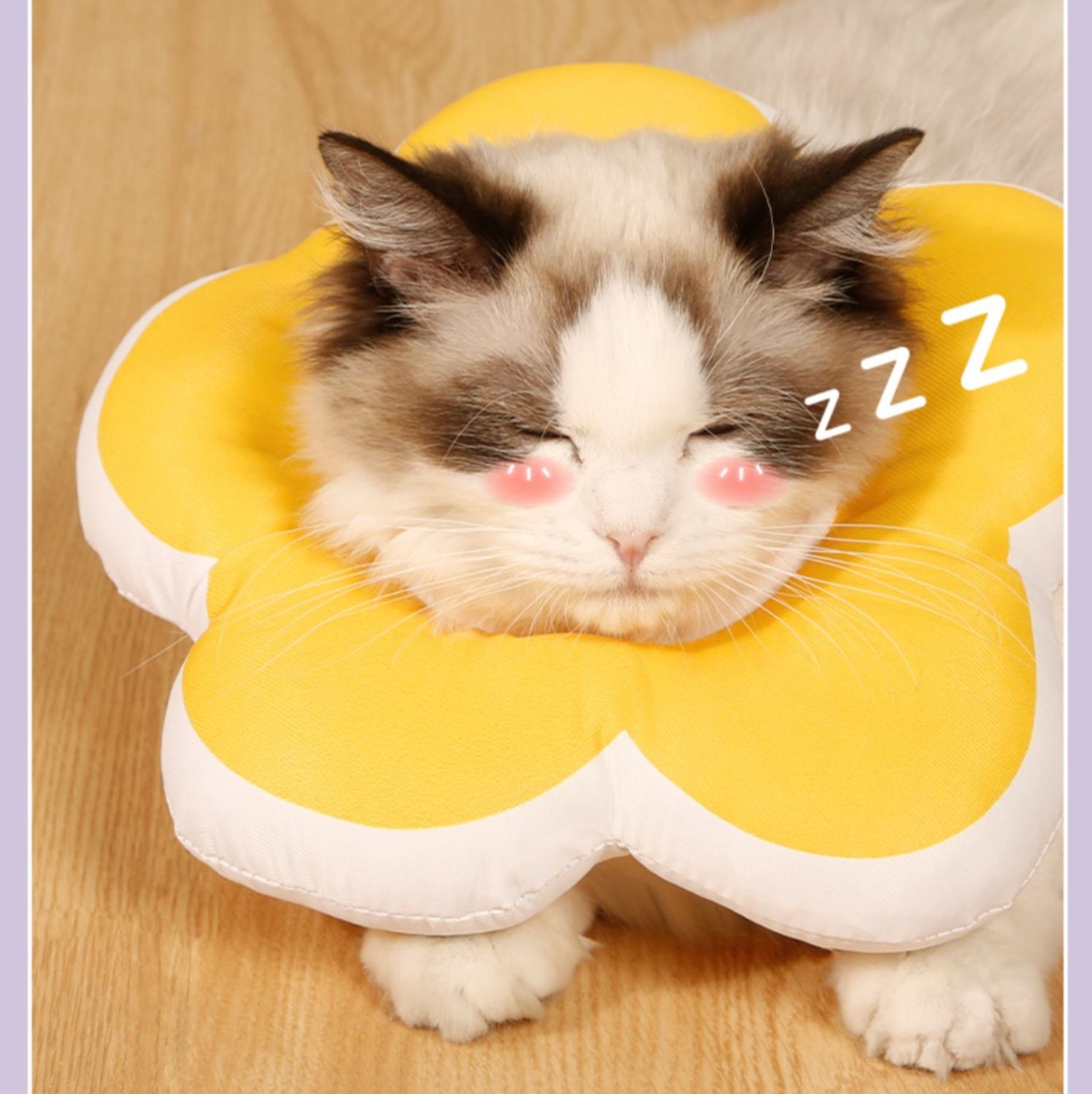 猫 花びら型やわらかエリザベスカラー
