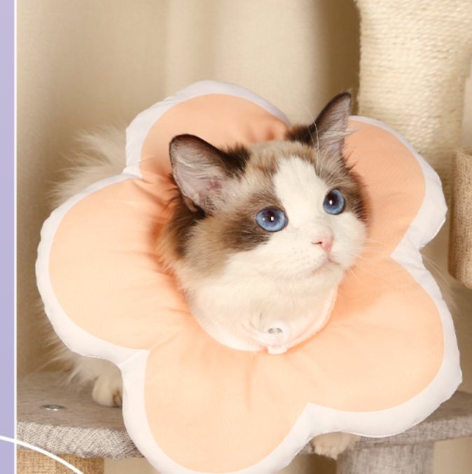 猫 花びら型やわらかエリザベスカラー