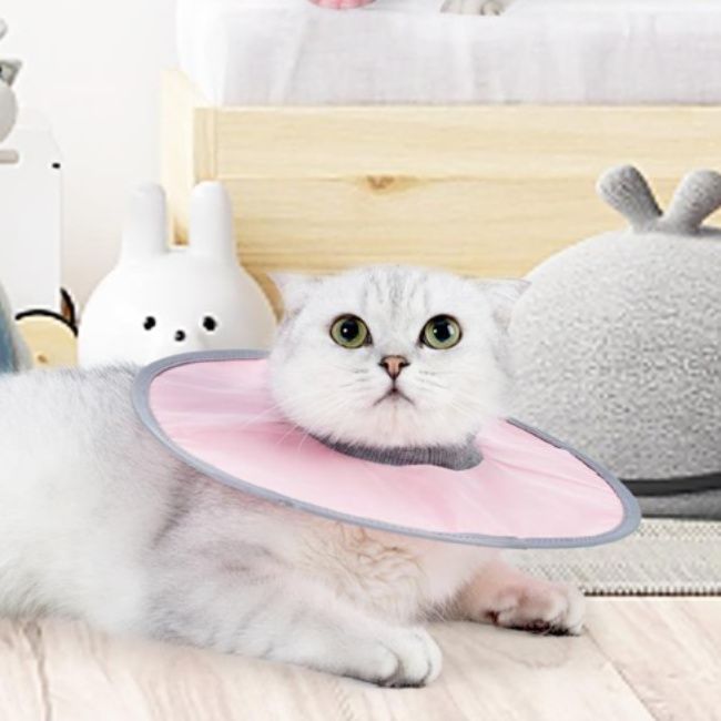 猫服 猫ちゃん快適保護カラー
