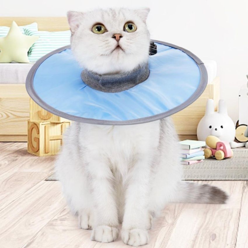 猫服 猫ちゃん快適保護カラー