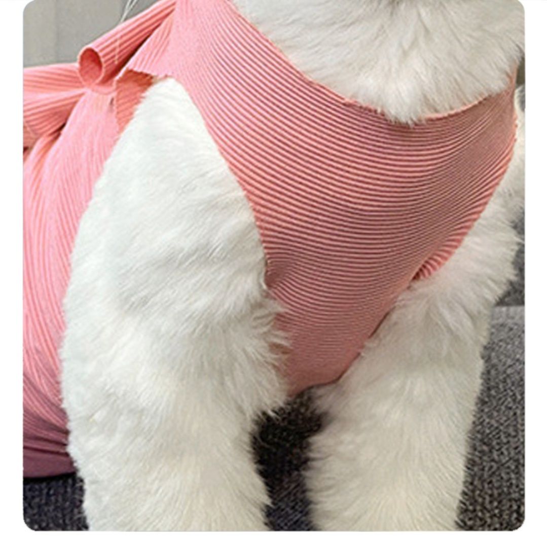 https://fulmo-img-server.com/nekohapi/1759539304261_aa1nd2hm_qbtsl5uv.jpeg