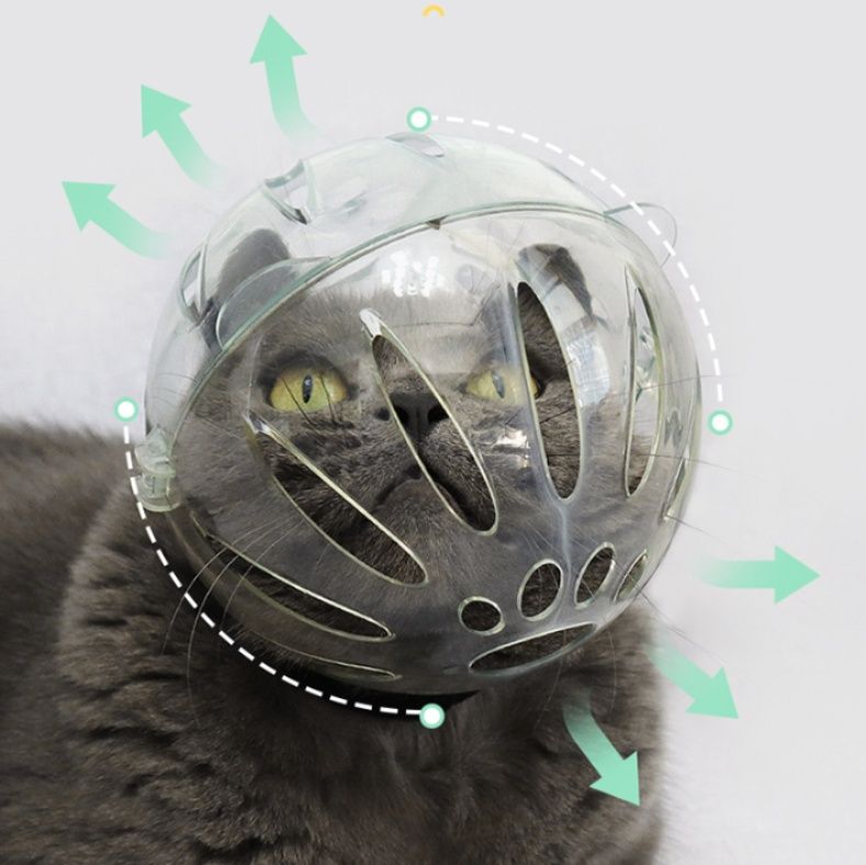 https://fulmo-img-server.com/nekohapi/1759541984782_0ysyy74r_savnnnzt.jpeg