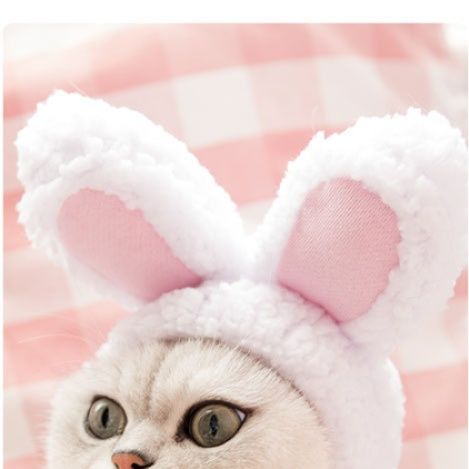 猫服 ふわふわうさ耳変身帽子