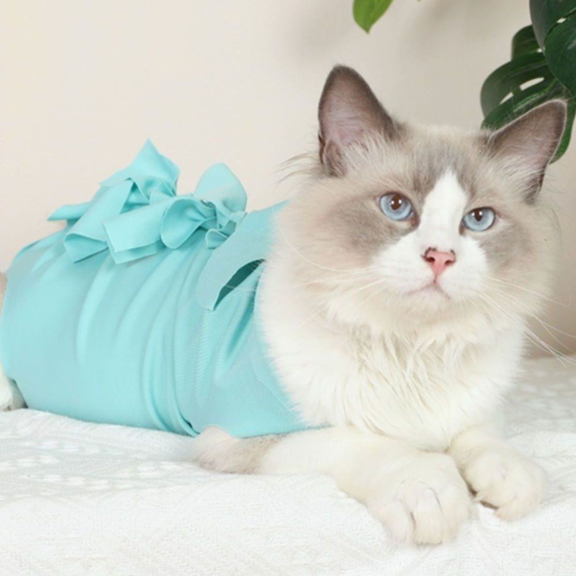 猫服 術後服 | ふわもこ猫ちゃん術後ウェア