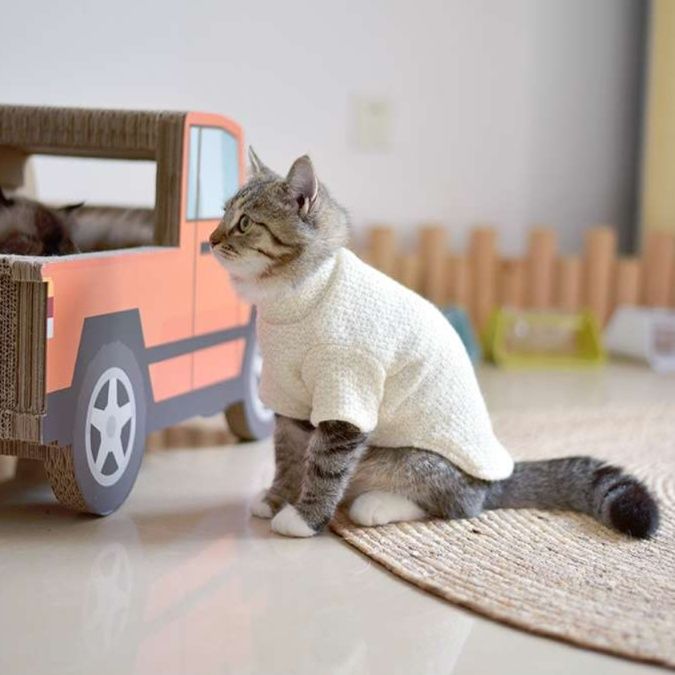 猫服  防寒服 | ねこちゃんの季節のニットウェア