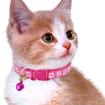 猫服 肉球模様の鈴付き安全首輪