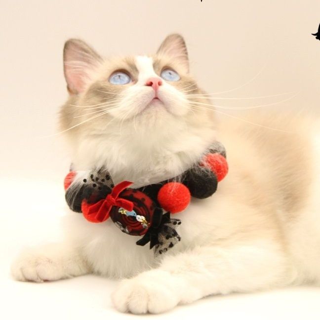 猫服 妖精の森ふわふわボンボン付き首輪