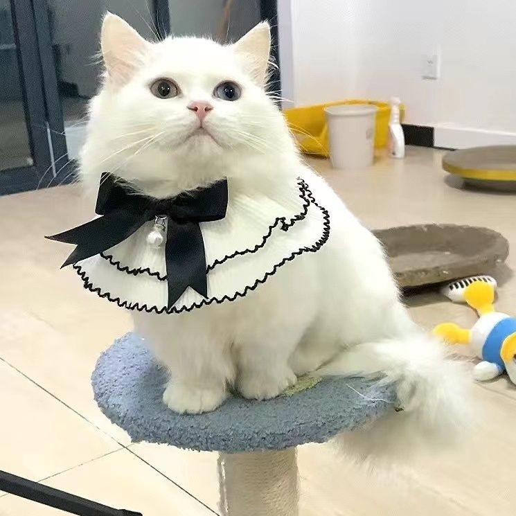 猫服 貴族風フリル襟パール付き蝶結び首輪
