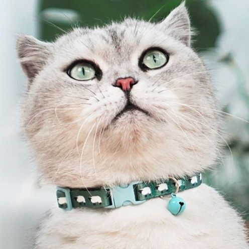 猫服 安全留め具付き防窮息鈴入り猫用首輪