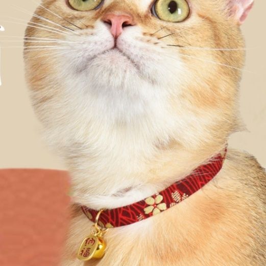 猫服 和風招き猫鈴付き花柄ちりめん首輪