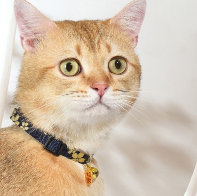 猫服 和風招き猫鈴付き花柄ちりめん首輪