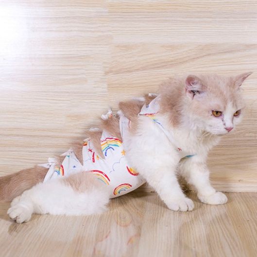 猫服 虹柄フリル付き猫用　術後保護服