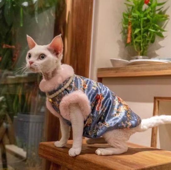 猫服 華やか花柄刺繍ふわふわファー襟付きベスト スフィンクス