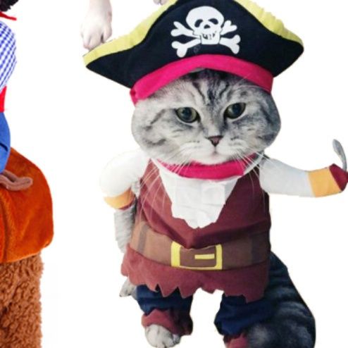 猫服 道化師風猫用変身　コスプレ