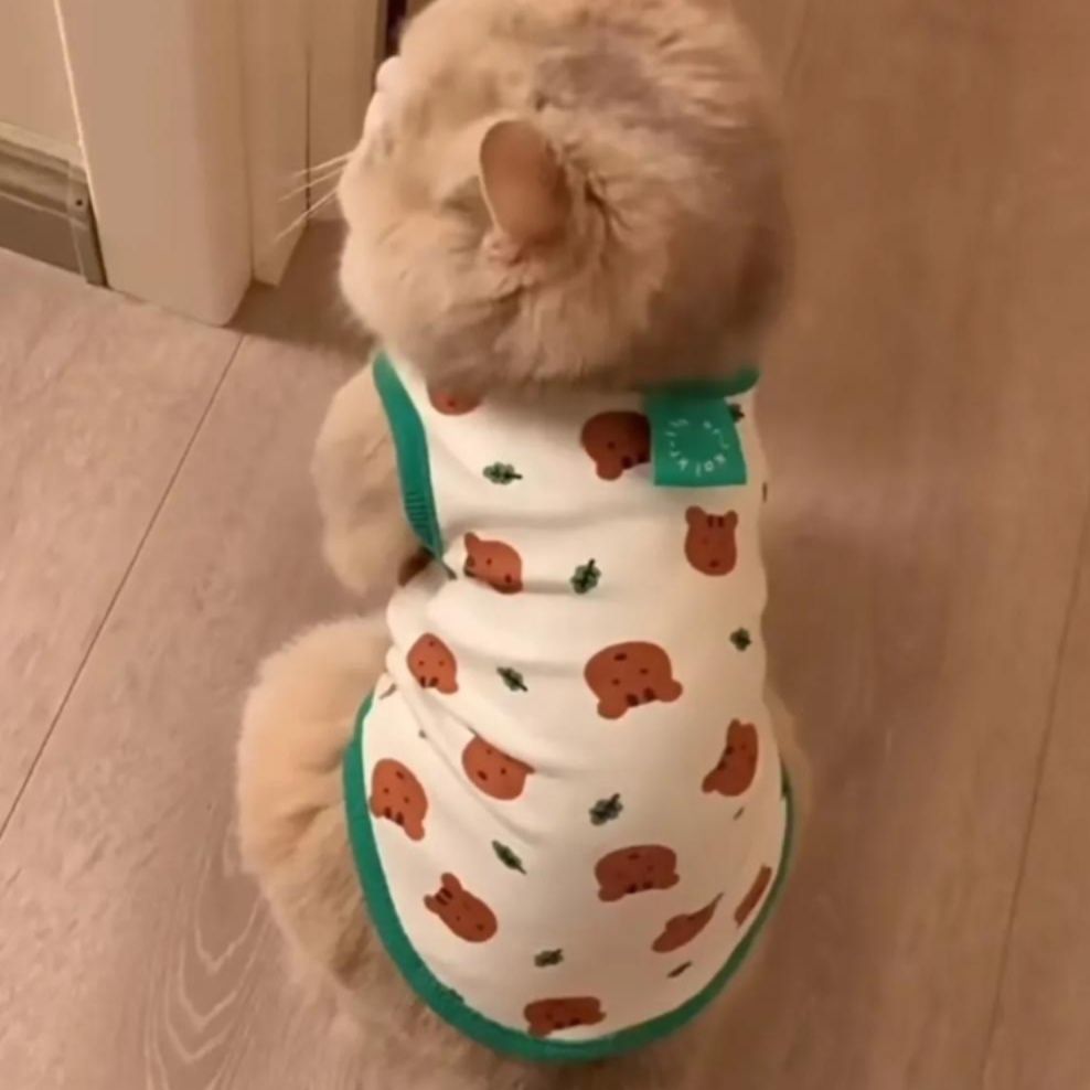 猫服 野菜柄のかわいいノースリーブシャツ 洋服