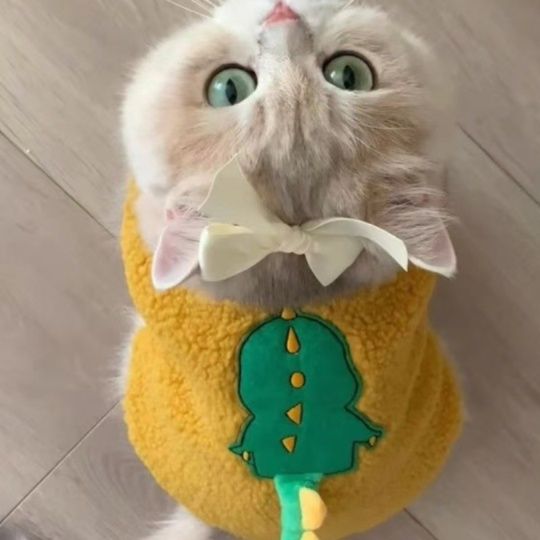 猫服 もこもこボア素材の動物刺繍入りベスト