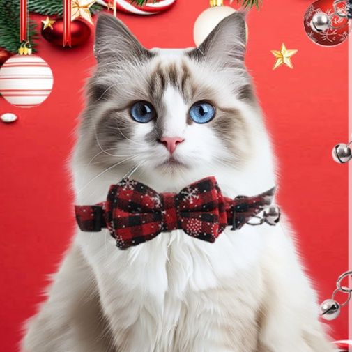 猫服 雪の結晶きらめく蝶ネクタイ付き鈴入り首輪