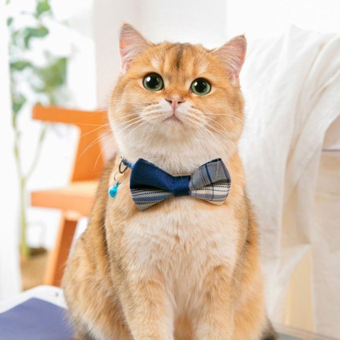 猫服 紳士風蝶ネクタイ付きチェック柄首輪