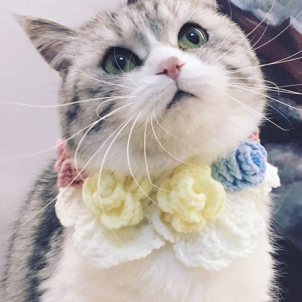 猫服 ふんわり花飾り付き手編みスタイ風首輪