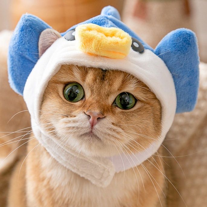 猫服 海の仲間ペンギン風もこもこかぶりもの