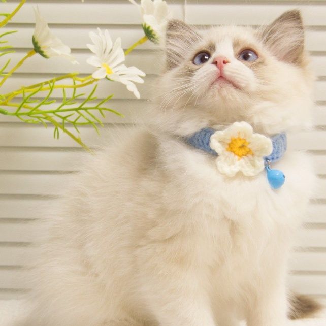 猫服 手編み風花モチーフ付き鈴入り猫用首輪