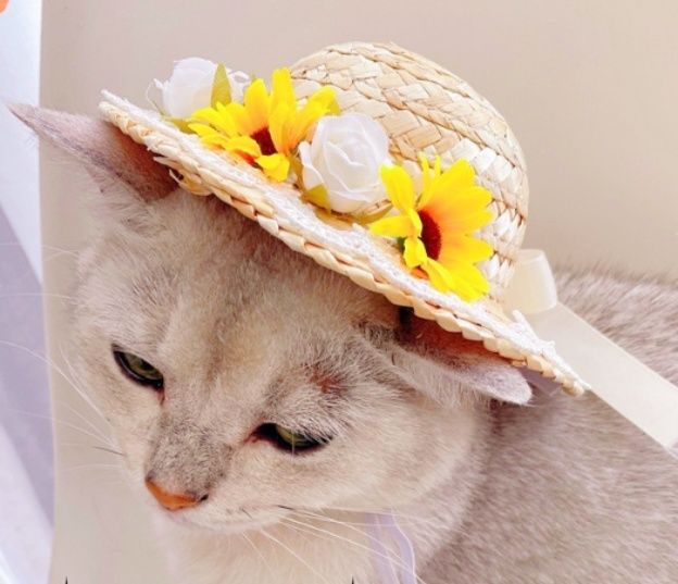 猫服 花飾り付き麦わら風猫用帽子