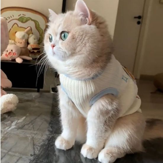 猫服洋服 いぬ刺繍がかわいい猫用ニットベスト