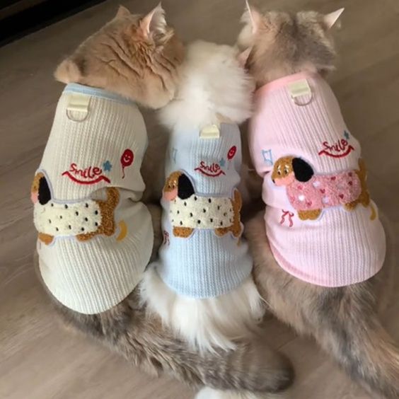 https://fulmo-img-server.com/nekohapi/1783572349118_4dw3c0n8_2w6fuzmc.jpeg