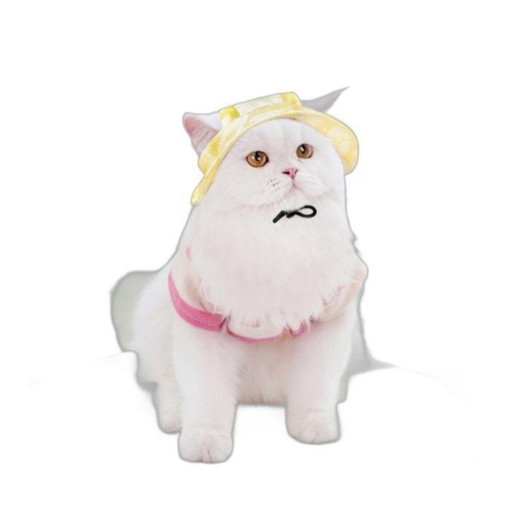 https://fulmo-img-server.com/nekohapi/1784074111855_kqn9hx11_kqe2daf8.jpeg