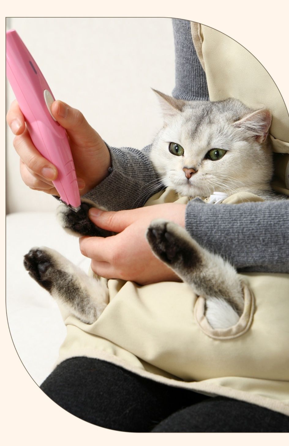 https://fulmo-img-server.com/nekohapi/1784075267977_sevmszew_u0pqgds2.jpeg