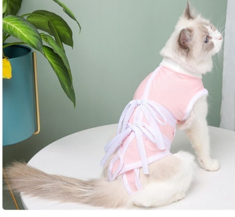 https://fulmo-img-server.com/nekohapi/1785729453012_i793qpjn_ypwi2j39.jpeg