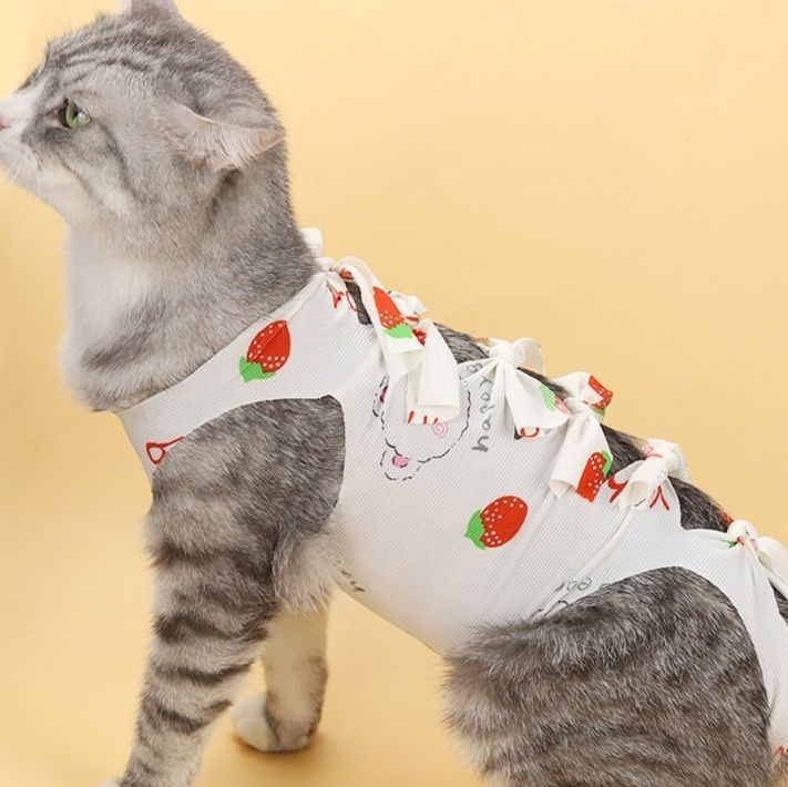 https://fulmo-img-server.com/nekohapi/1785733651483_yq0906gm_ae9lb9cj.jpeg