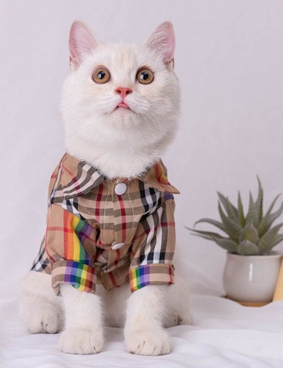 猫服 虹色チェック柄シャツ 猫用おしゃれ洋服