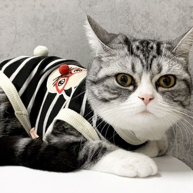 猫服 道化師刺繍ボーダー柄猫用ニットベスト
