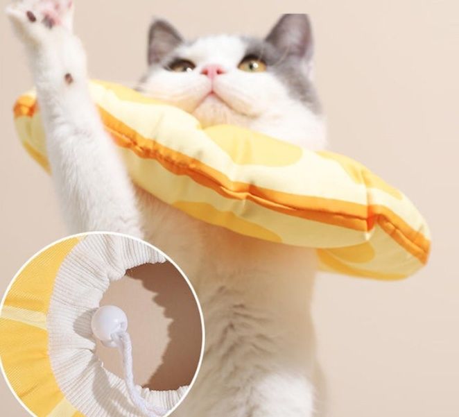 https://fulmo-img-server.com/nekohapi/1785896504717_zav97qzl_cyivdfoz.jpeg